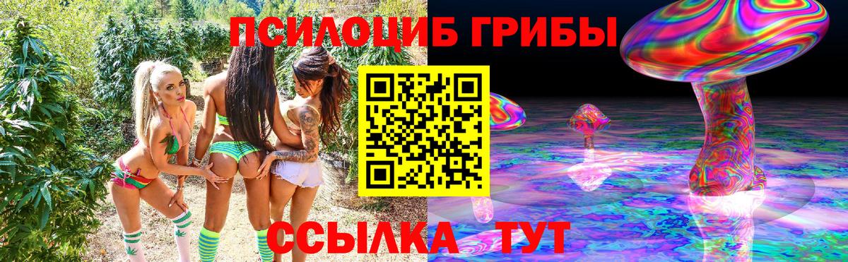 Галлюциногенные грибы Psilocybe  Вход с VPN  купить наркотик  Краснокаменск 